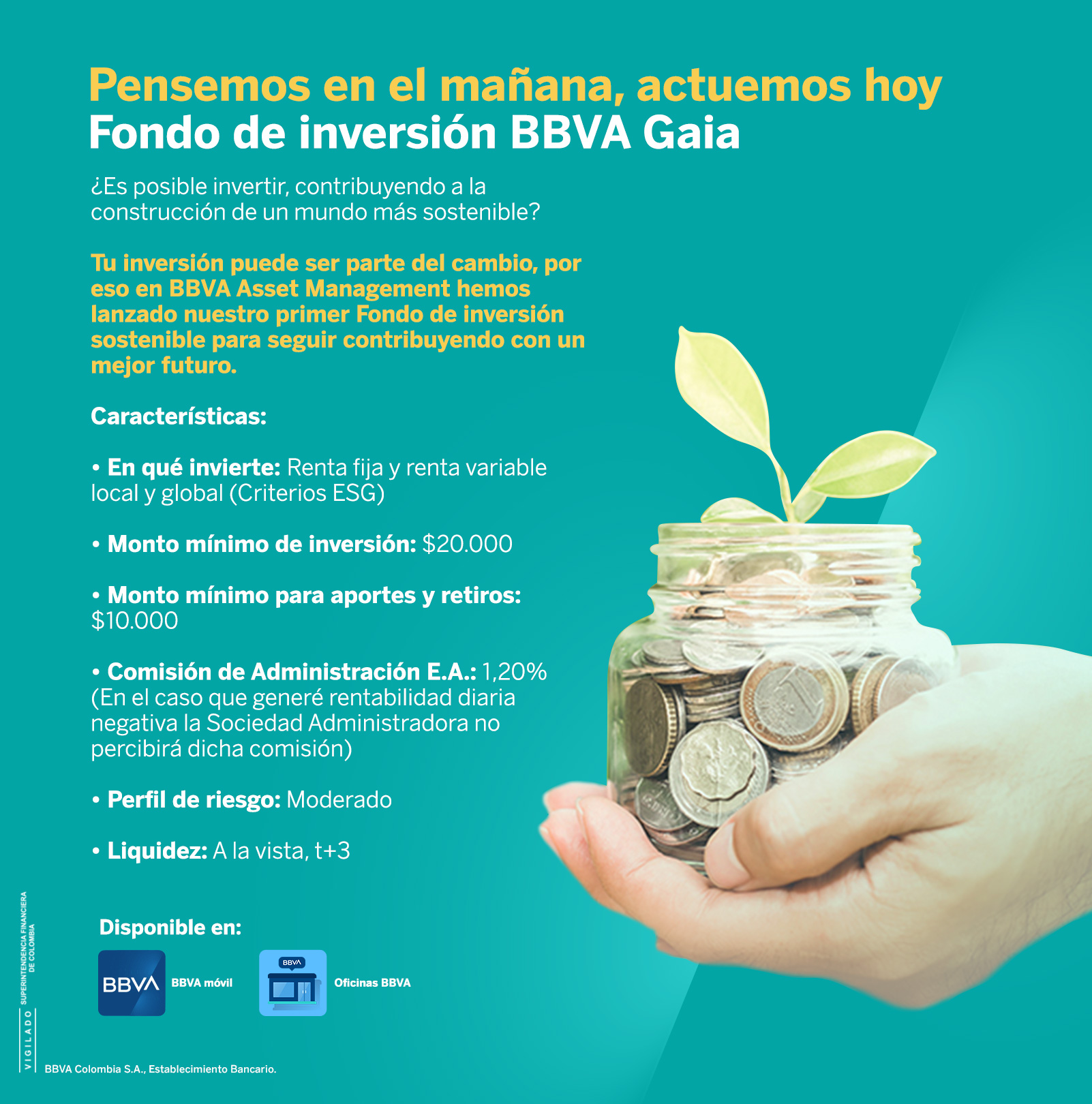 Sigue a BBVA en: